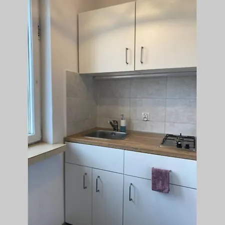 Cozy Studio Apartment At Park And Near Katowice * Chorzów